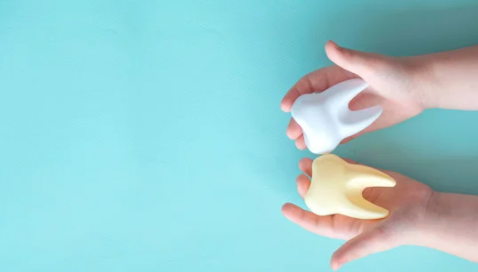 Adapter l'allaitement quand les dents se pointent !