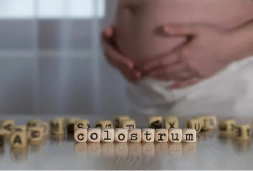 Expression du colostrum